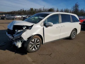 2026 HONDA All Models