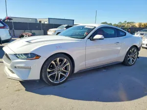 2019 FORD ALL Models