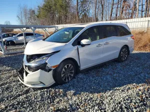 2024 HONDA All Models