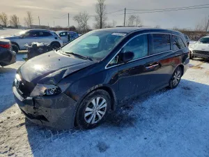 2016 HONDA All Models