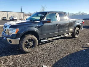 2010 FORD F-150