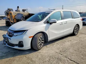 2025 HONDA All Models