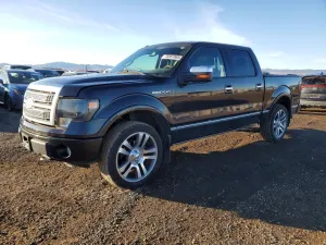 2010 FORD F-150