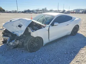 2019 FORD ALL Models