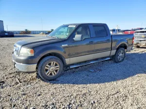 2007 FORD F-150