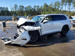 2025 TOYOTA GRAND HIGH