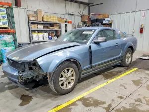 2005 FORD ALL Models