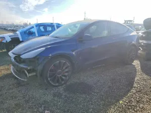 2025 TESLA MODEL Y