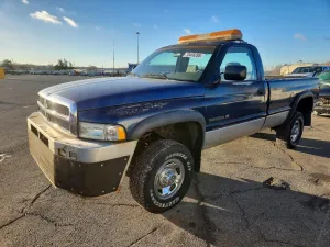 1995 DODGE All Models