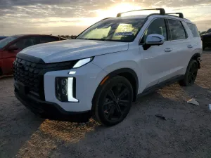 2025 HYUNDAI PALISADE X