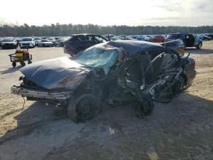 2000 SNOWEX SL/SL1/SL2