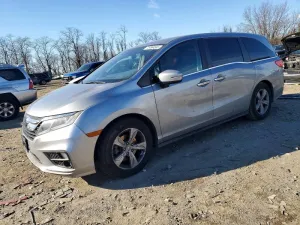 2019 HONDA All Models