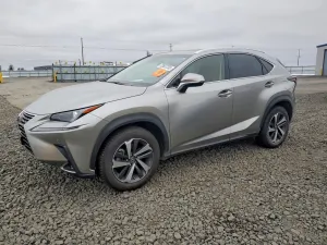 2019 LEXUS NX