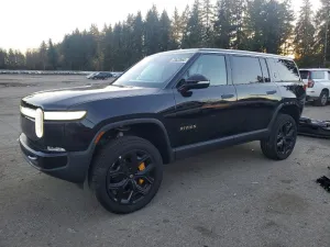 2024 RIVIAN RIS