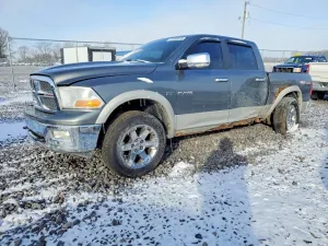 2010 DODGE All Models