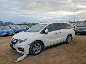 2019 HONDA All Models