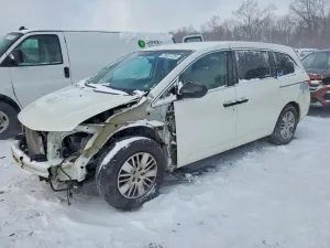 2014 HONDA All Models