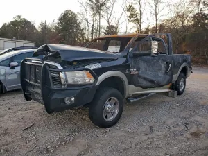 2010 DODGE All Models