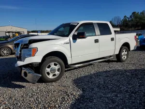 2010 FORD F-150