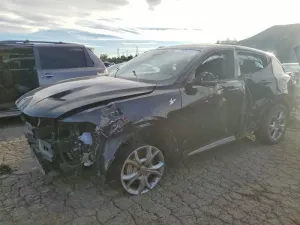 2024 DODGE HORNET R/T