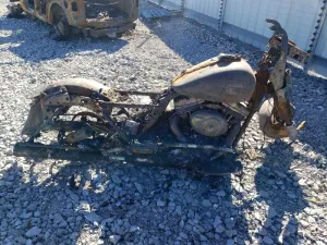 2010 HARLEY-DAVIDSON FL