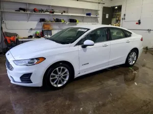 2019 FORD ALL Models