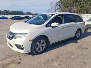2019 HONDA All Models