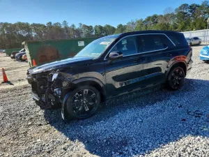 2024 HYUNDAI PALISADE X