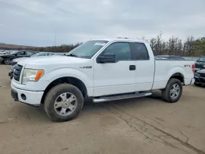 2009 FORD F-150
