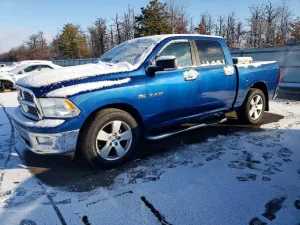 2010 DODGE All Models