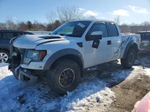 2010 FORD F-150