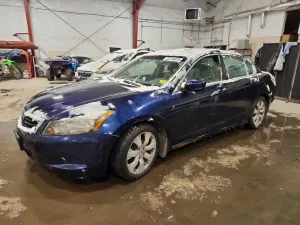 2010 HONDA ACCORD