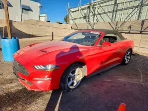 2019 FORD ALL Models