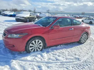 2010 HONDA ACCORD