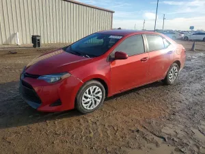 2019 TOYOTA COROLLA