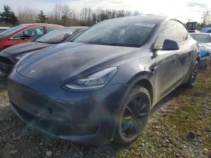 2020 TESLA MODEL Y