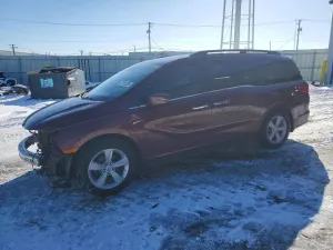 2019 HONDA All Models