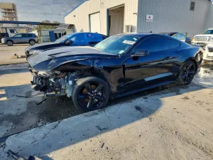 2021 FORD ALL Models