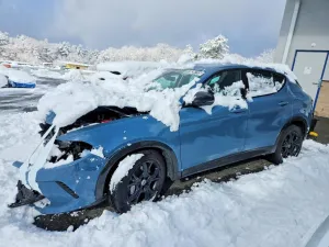 2024 DODGE ALL OTHER