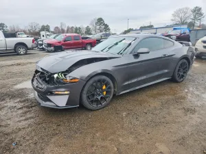 2019 FORD ALL Models