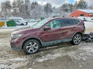 2019 HONDA CRV