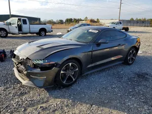 2019 FORD ALL Models