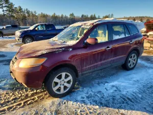 2009 HYUNDAI SANTA FE