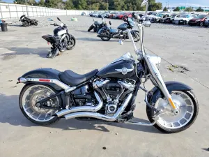 2021 HARLEY-DAVIDSON FLFBS