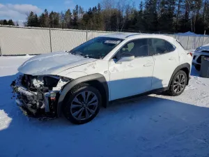2021 LEXUS UX 250H