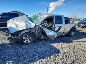 2010 DODGE All Models