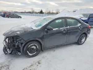 2019 TOYOTA COROLLA