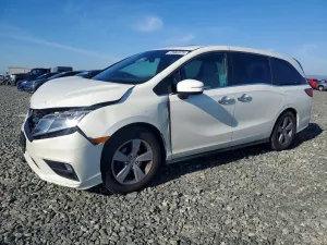 2019 HONDA All Models