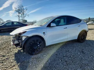 2021 TESLA MODEL Y