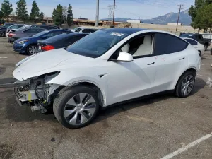 2020 TESLA MODEL Y